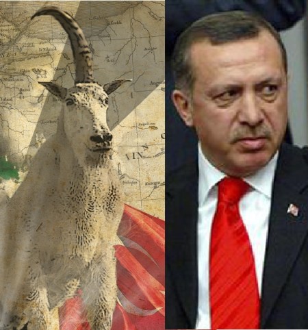 Turkish President Erdoğan: the best candidate so far as the goat's first horn.